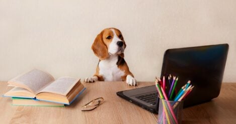 Hey, engineer, do you understand my business?